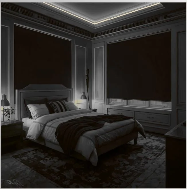 A bedroom with blackout roller shades that creates the perfect amount of privacy and makes it easy to rest peacefully. Georgetown , Guyana
