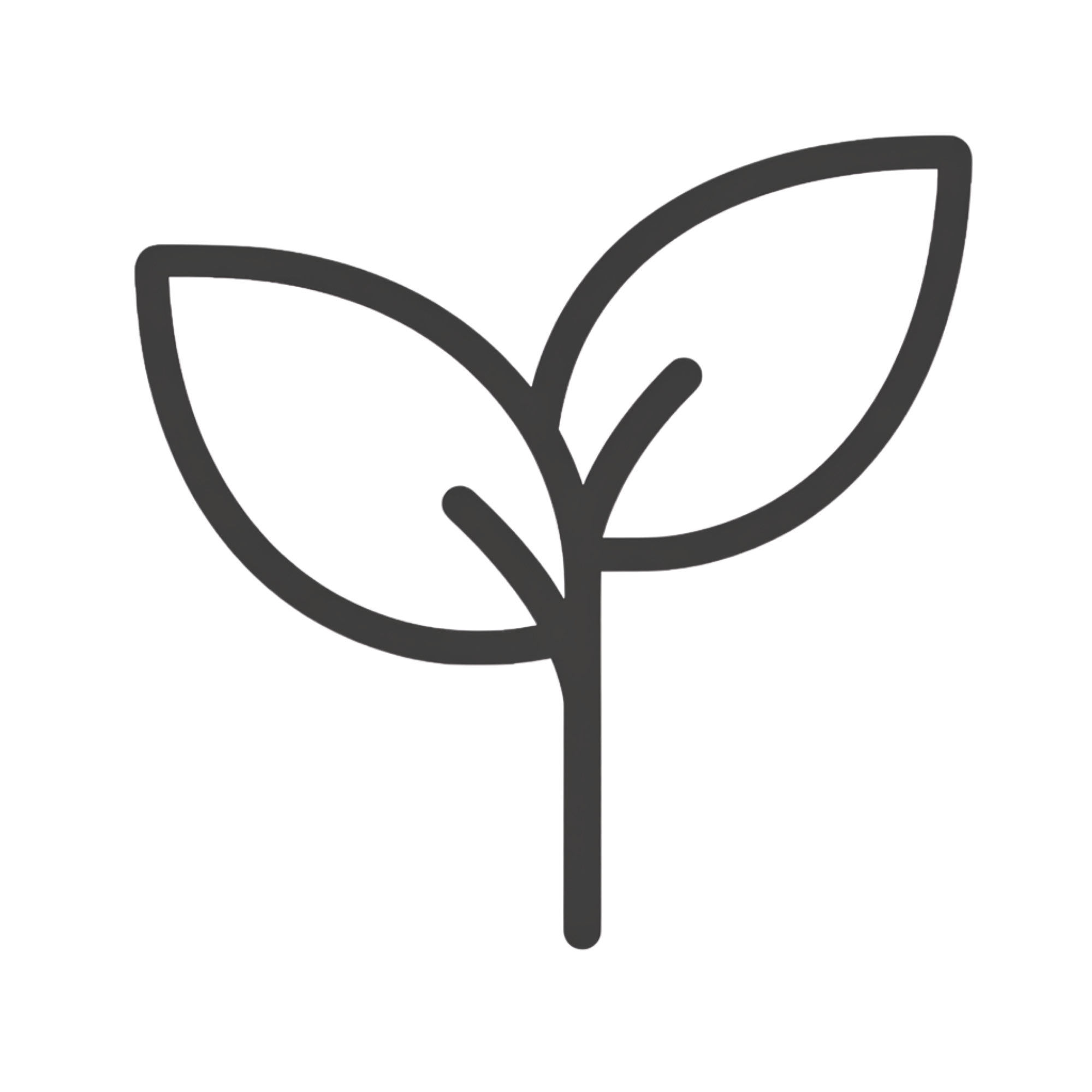 Line drawing of a single leaf with a stem.