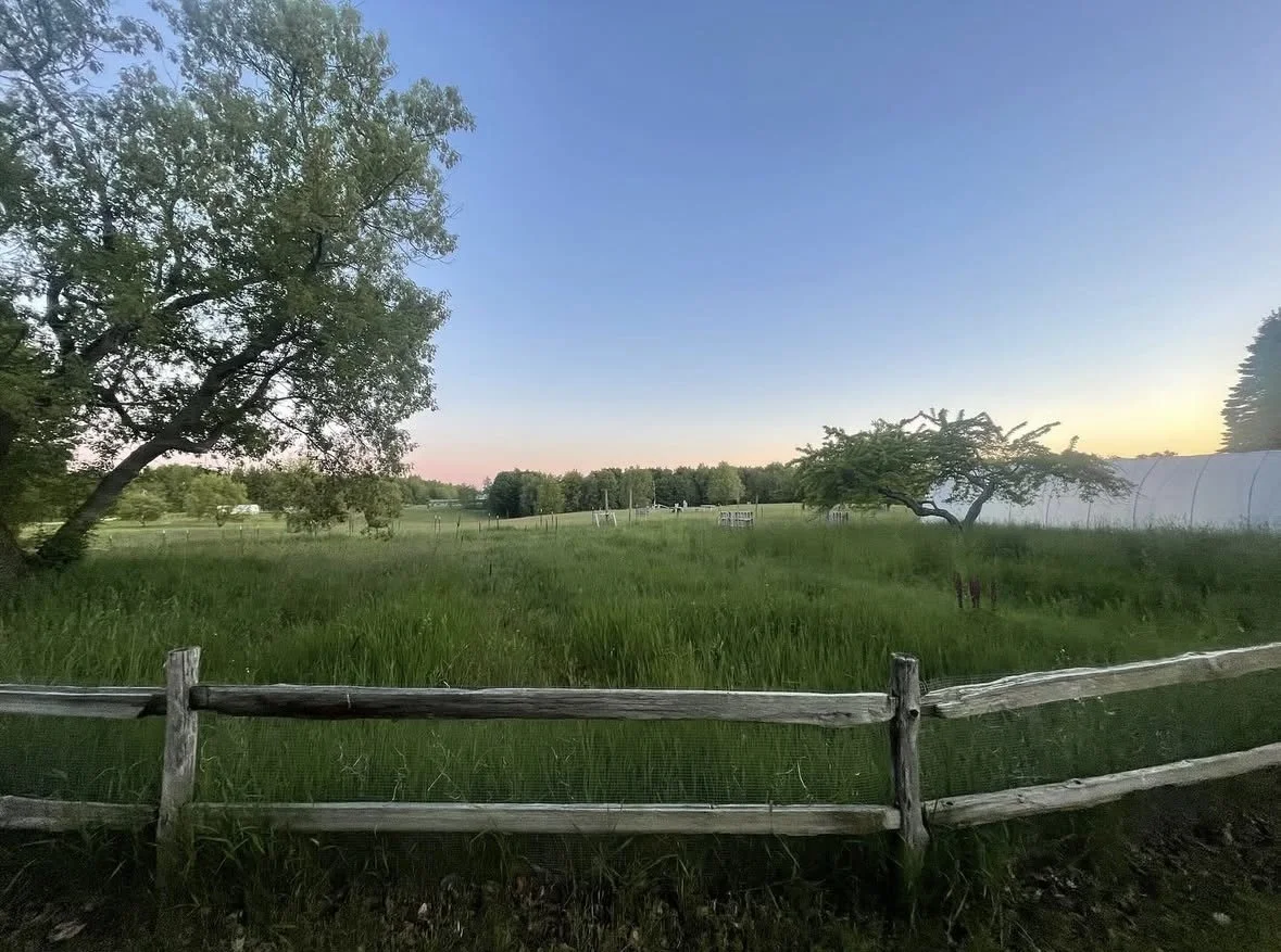 A rural landscape at sunset with green fields, trees, a wooden fence, and a clear sky.