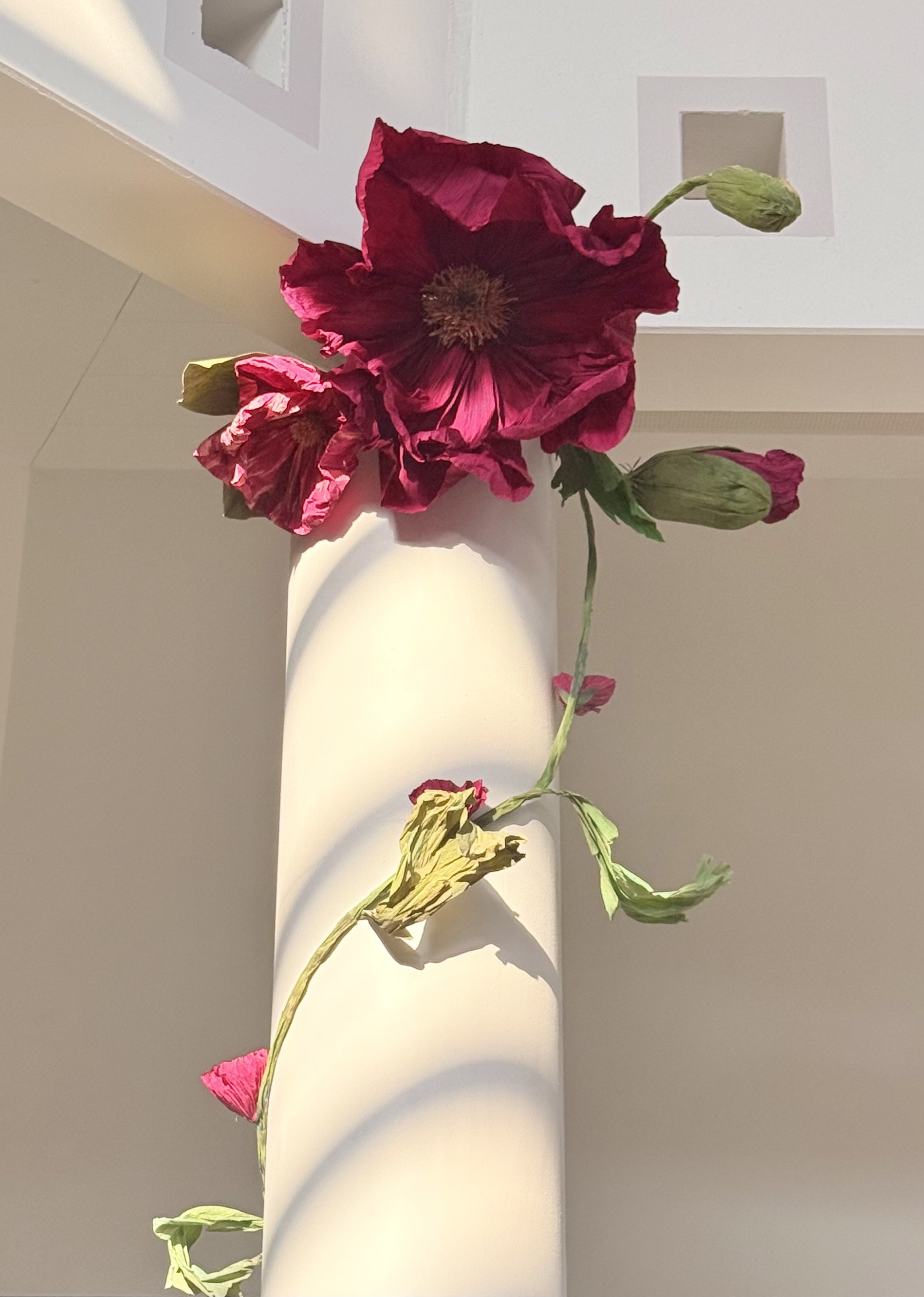 IMG_2373.jpeg