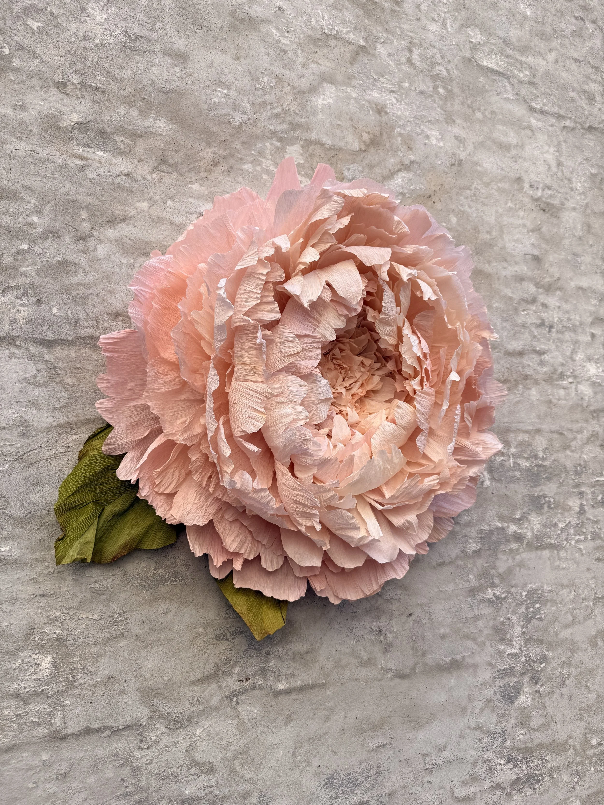 A large pink crepe paper peony flower with ruffled petals and green leaves on a textured gray surface.