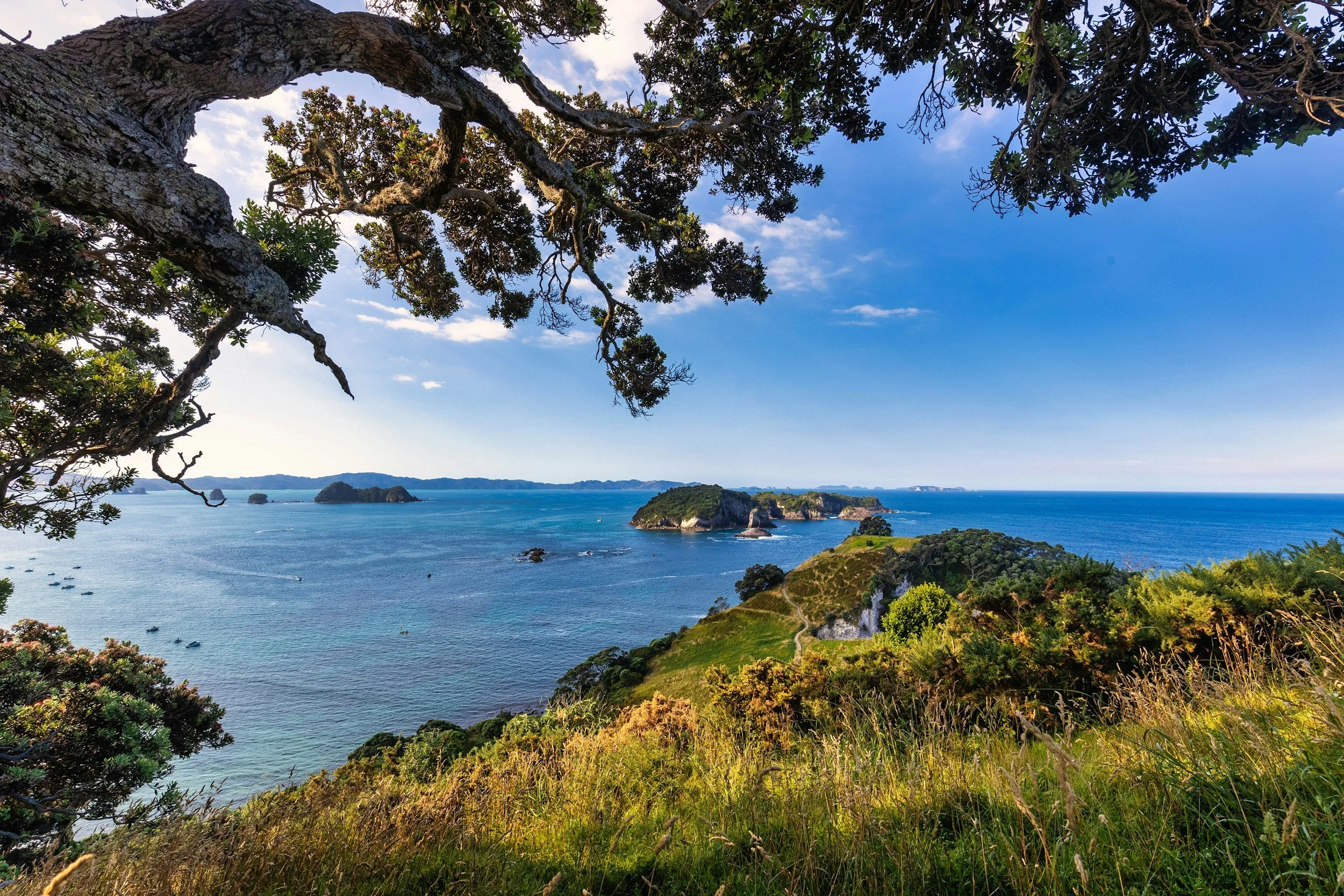 Scenic view of a coastal landscape with cliffs, greenery, and an ocean with small islands in the distance, under a blue sky with some clouds.