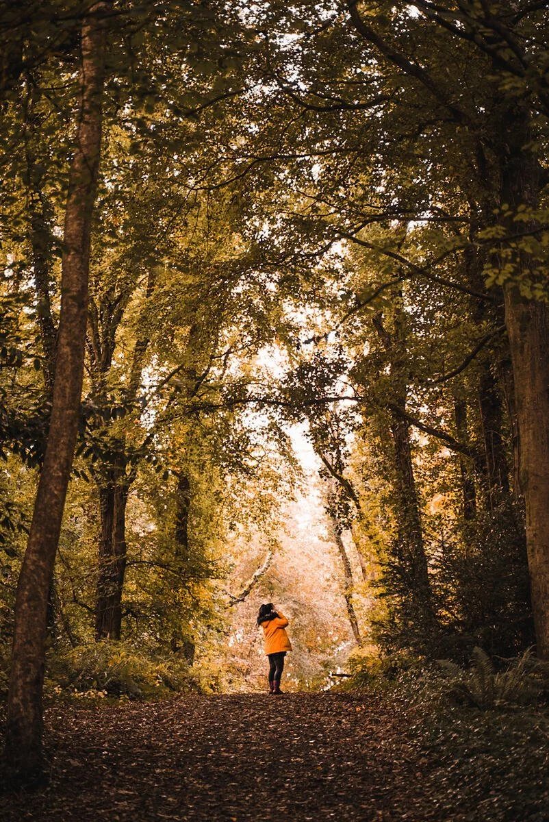 A person wearing a yellow jacket walking on a forest trail surrounded by tall trees with autumn-colored leaves.