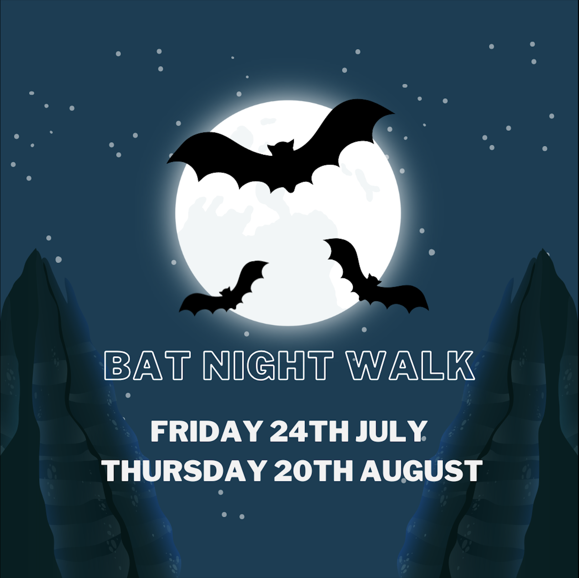 Summer Bat Walks!