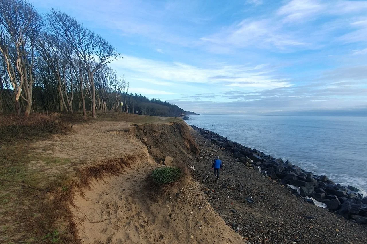 A person walking along a rocky beach near eroded cliffs, with a forested area and cloudy sky in the background.