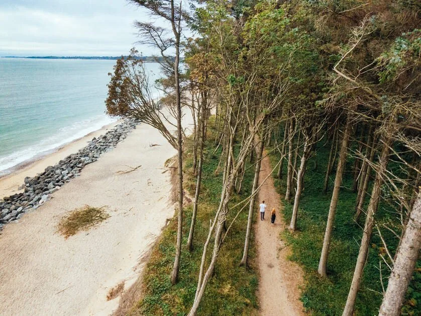 A coastal scene with a sandy beach, a rocky barrier, and a forested walking trail with two people walking.