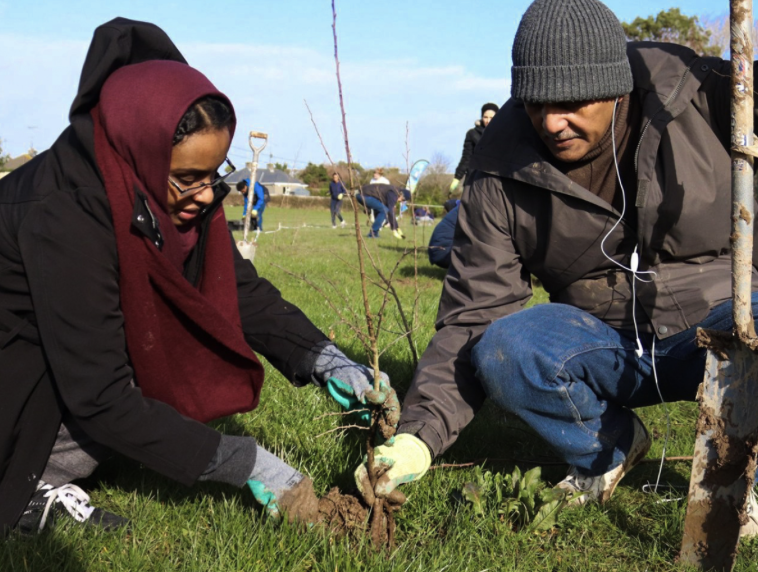 Two people, a woman with glasses and a man, planting a young tree in a grassy field on a sunny day, with other volunteers in the background.