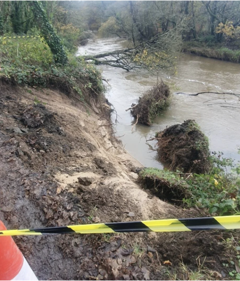 Erosion on riverbank with fallen trees and roots, yellow caution tape in foreground, wooded area in background.