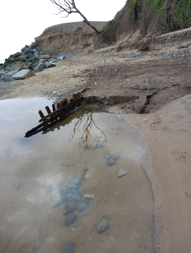A small beach area with a partially submerged, old wooden shipwreck, rocks, and a cliff with sparse vegetation and a tree branch extending over the water.