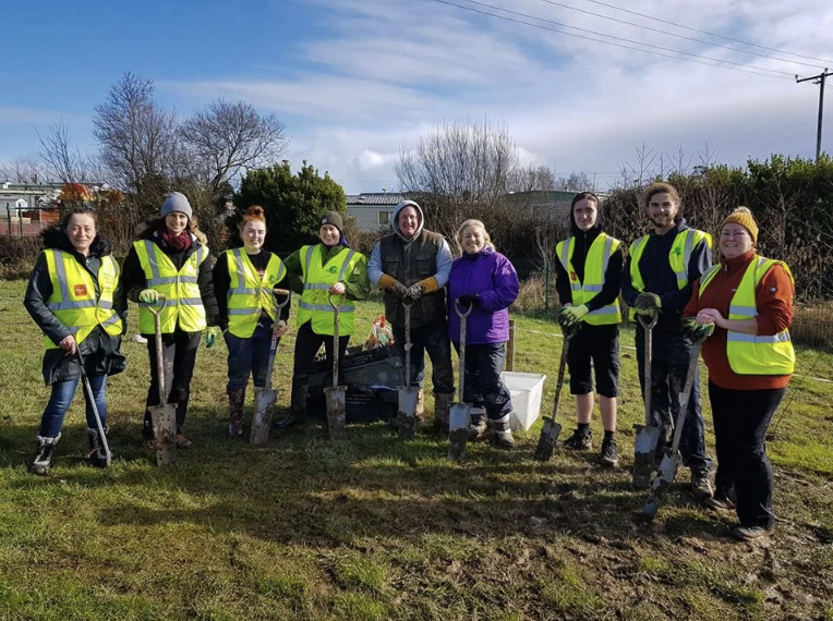 Group of people wearing yellow safety vests planting trees or shrubs outdoors on a sunny day.