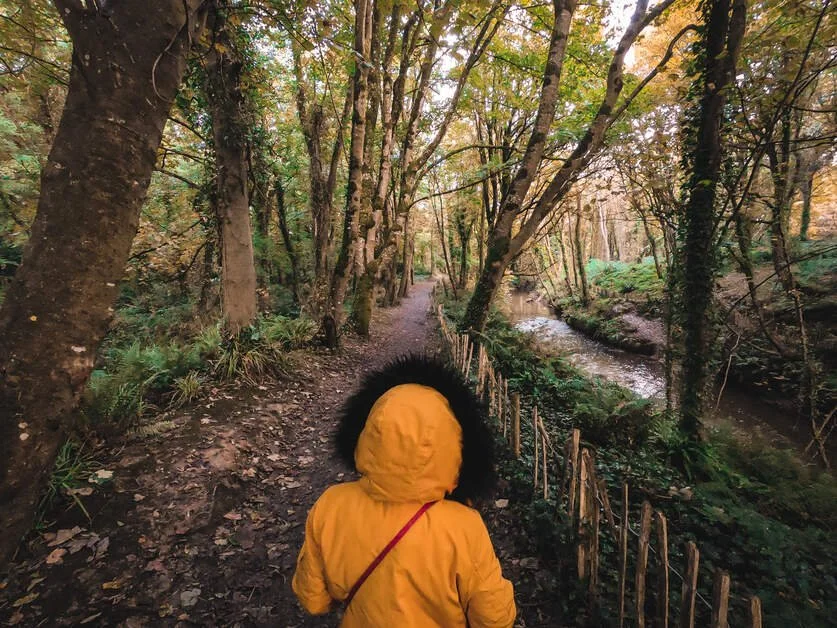 Person in a yellow raincoat walking along a wooded trail beside a small stream in a forest.