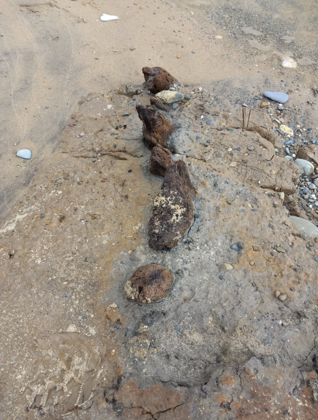 Rocks and stones embedded in a paved surface near the beach.