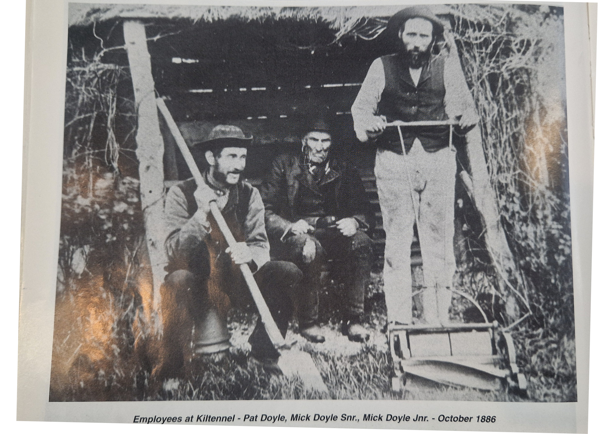 Historical black-and-white photograph of three men sitting and one standing in front of a rustic wooden structure with a cart, taken in October 1886. The caption notes they are employees at Kilntenel, including Pat Doyle, Mick Doyle Snr., and Mick Do