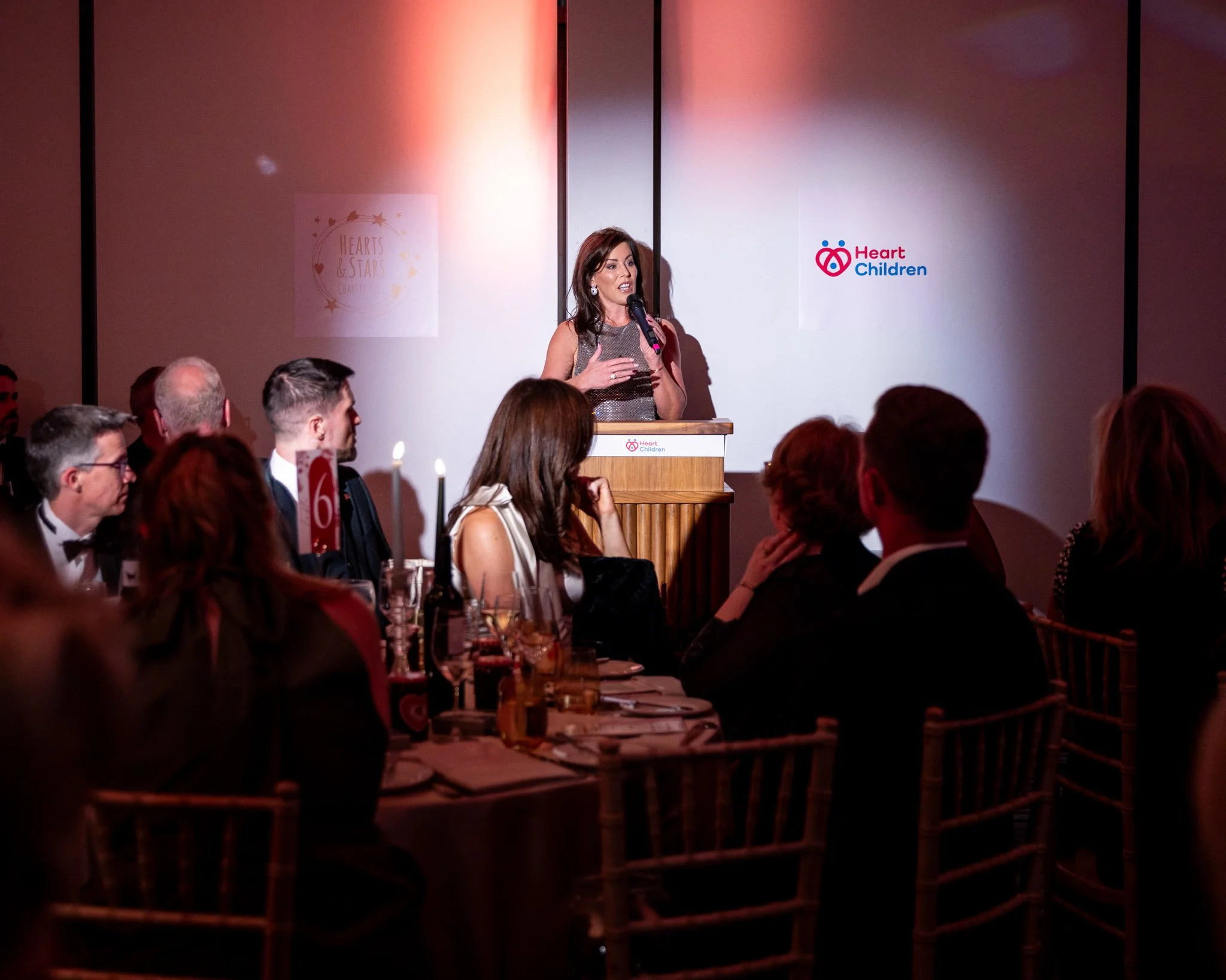 Minister for Health, Jennifer Carroll MacNeill TD Supports Heart Children at Hearts and Stars Charity Ball