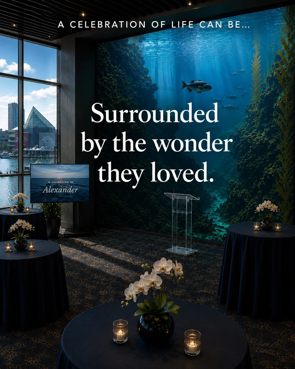 An aquarium creates a truly unforgettable celebration of life venue for someone who found peace, joy, or fascination in the ocean. Choosing a location that reflects a loved one's passions is one of the most personal memorial planning ideas a family c