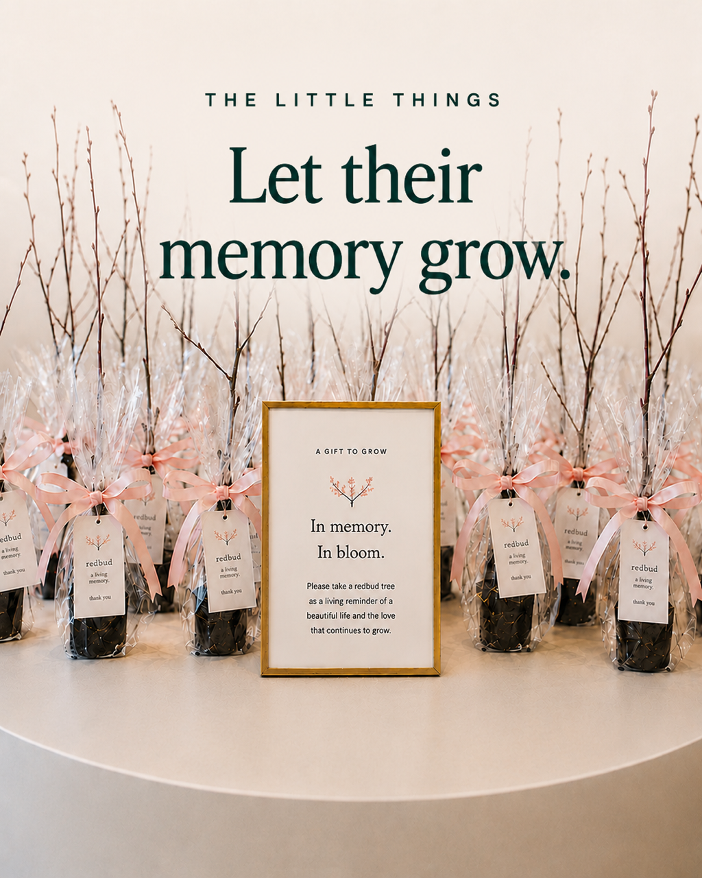 A living gift can become part of your legacy. Send guests home with a young tree to plant in your honor, creating a lasting reminder that while a life may end, its impact continues to grow.