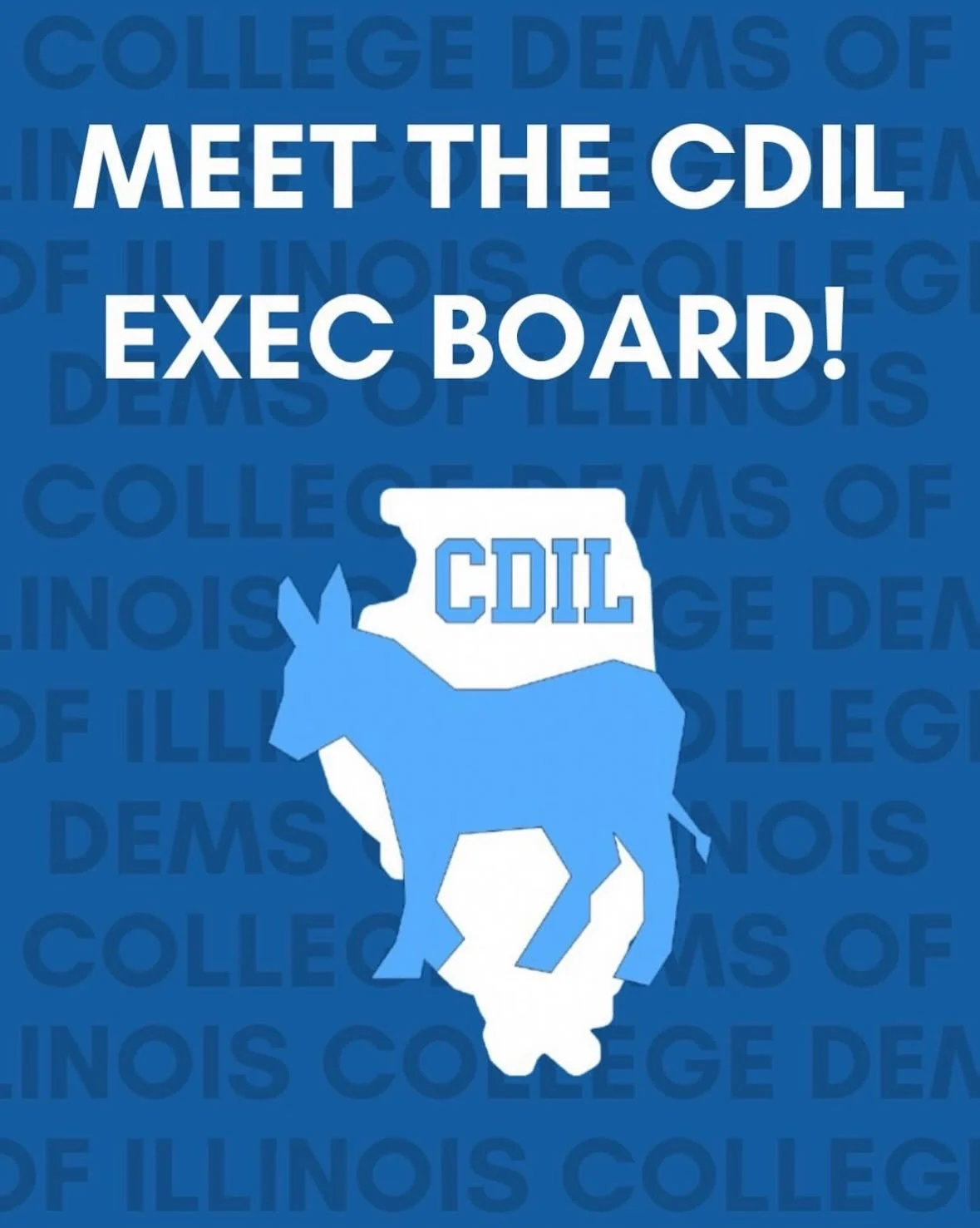 Meet the CDIL Exec Directors who joined us in late 2025/ early 2026🙌 they make our board complete🫶
