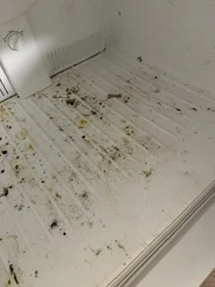 Dirty, stained white floor with dirt, debris, and mold.
