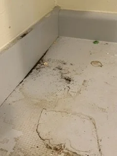 Dirty floor with black stains and debris near a baseboard in a room