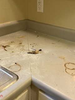Dirty kitchen countertop with scattered debris and stains.