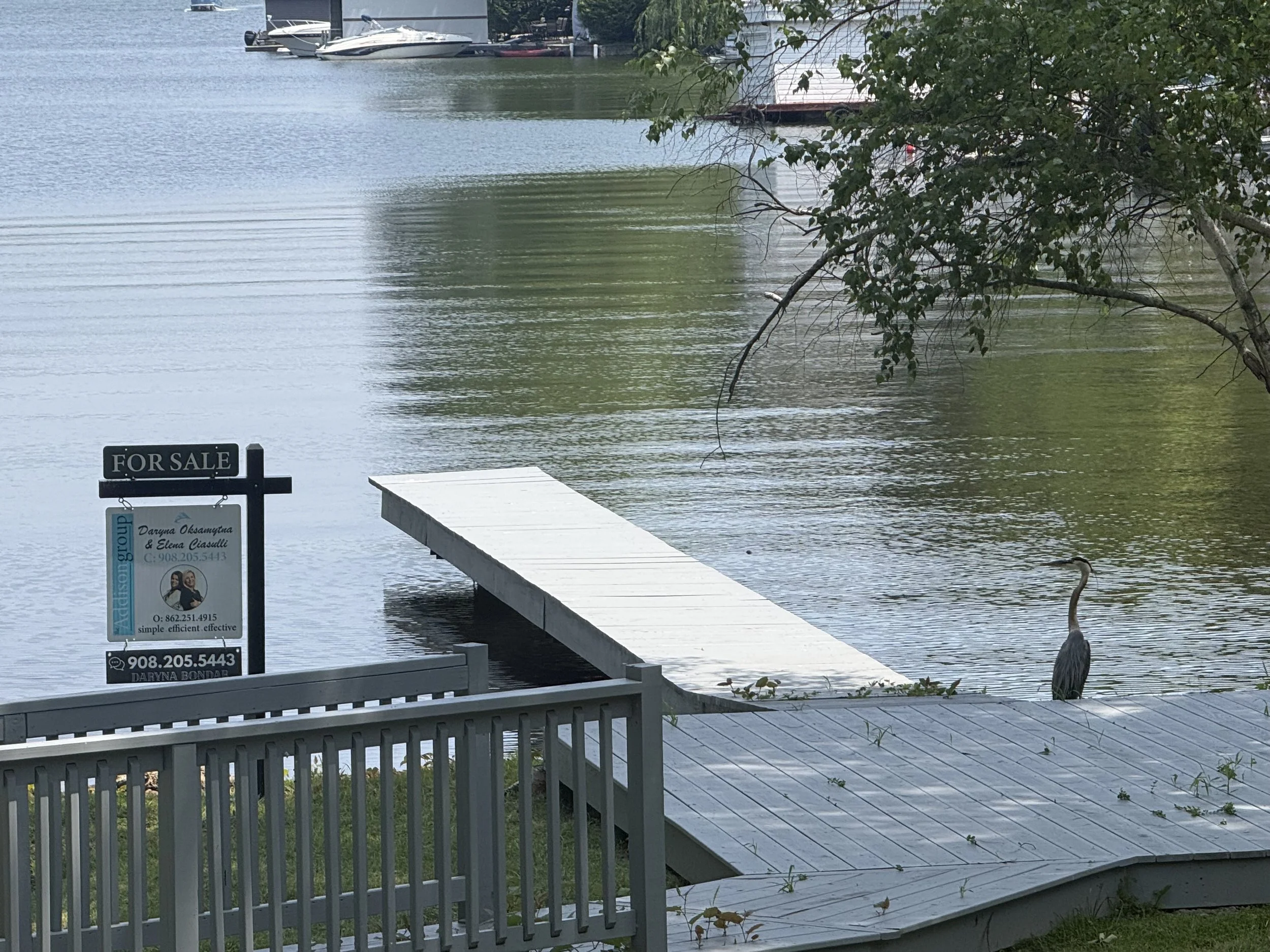 A lakeside scene with a dock and boats, a tree with green leaves overhanging, and a 'For Sale' sign in the foreground.