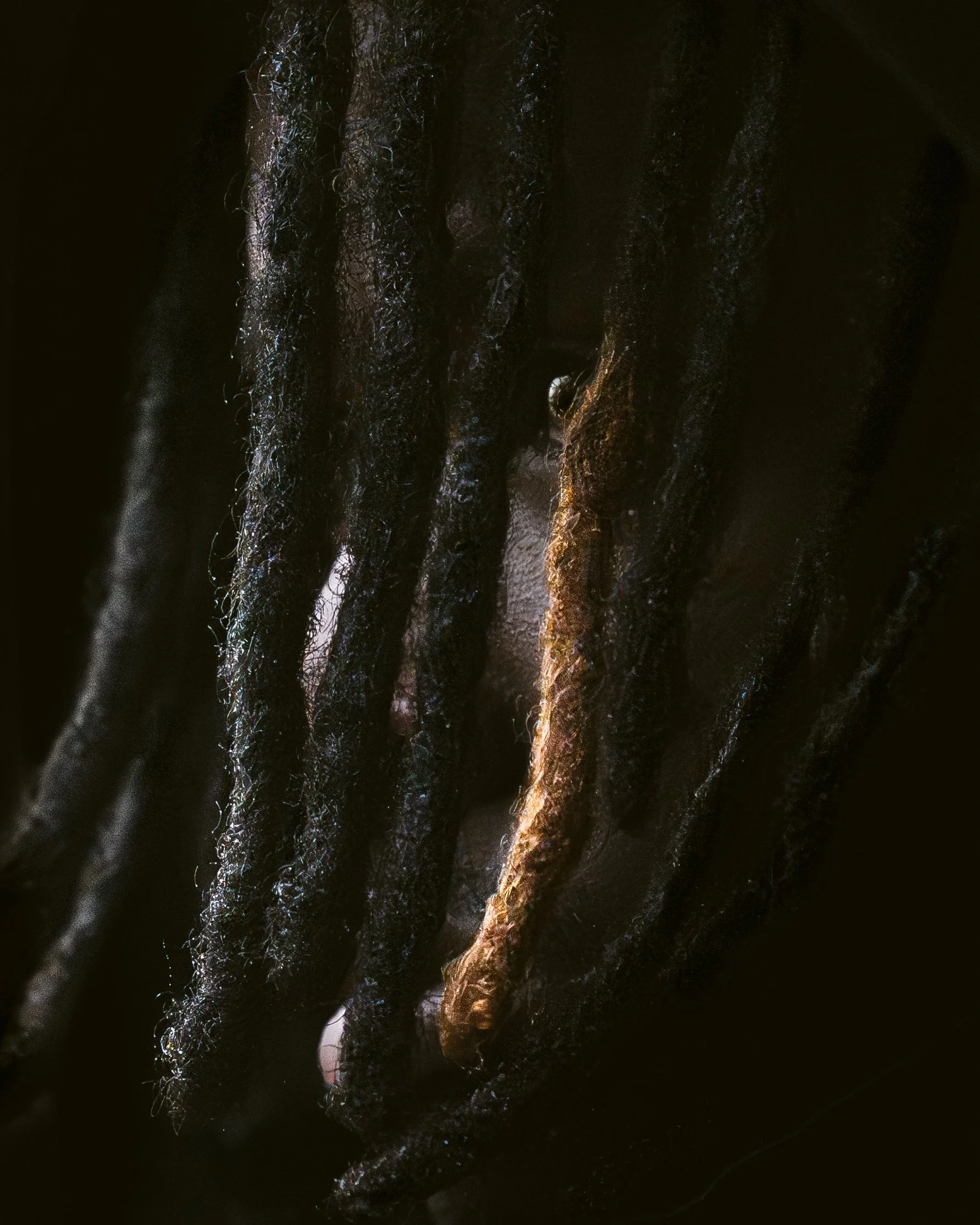 the detail of the eye in a portrait