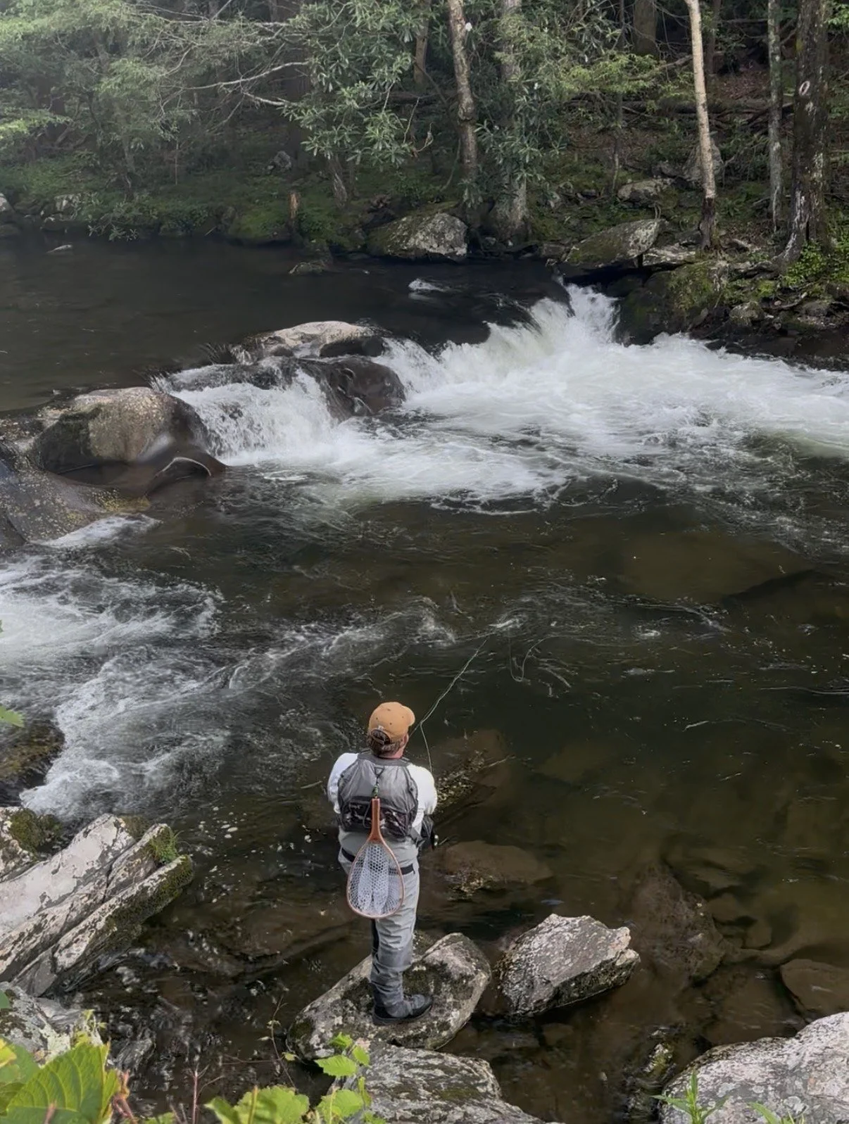 A fly angler wading a clear, boulder-strewn freestone trout stream in the East Tennessee mountains, dappled morning light on the water.