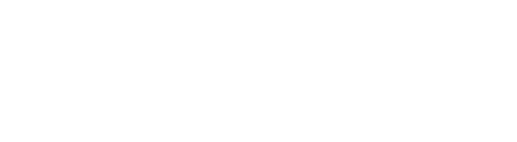 Newton Strategic Communications logo in white