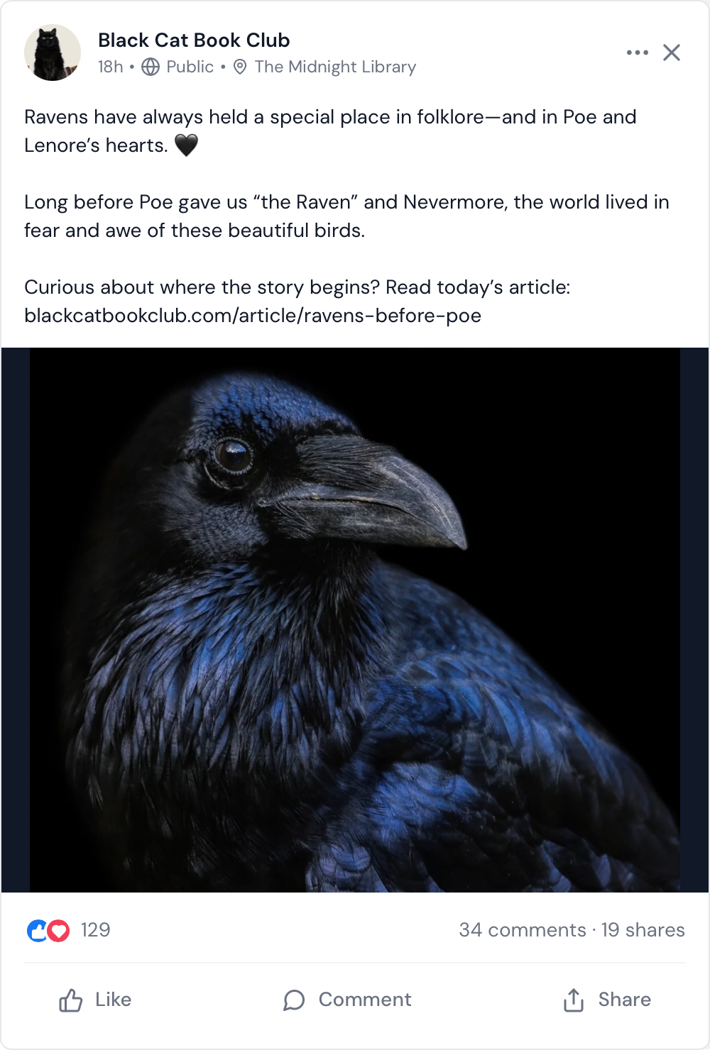 Close-up photo of a raven with blue and black feathers, highlighting its dark eye and large beak.