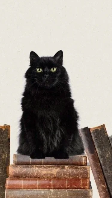 A black cat sitting on a stack of old books.