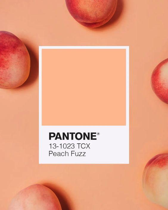 Pantone Color Achievability Tool