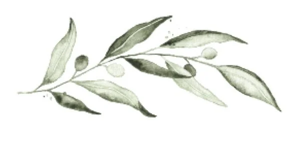 Watercolor painting of a leafy branch with small round berries.