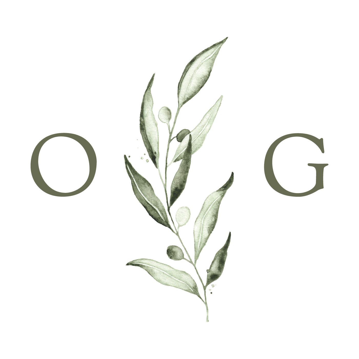 A botanical illustration of a plant with elongated green leaves and small round buds.