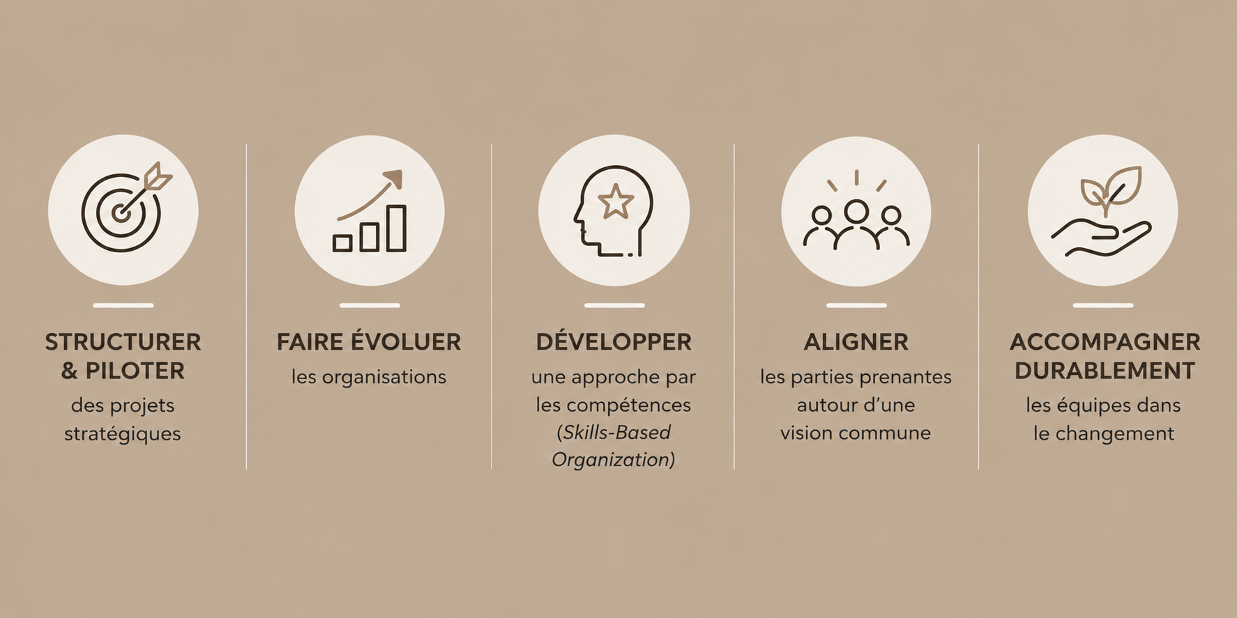 Diagramme avec cinq sections expliquants des étapes pour la gestion de projets : structurer et piloter, faire évoluer, développer, aligner, accompagner durablement, avec des icônes et du texte descriptif.