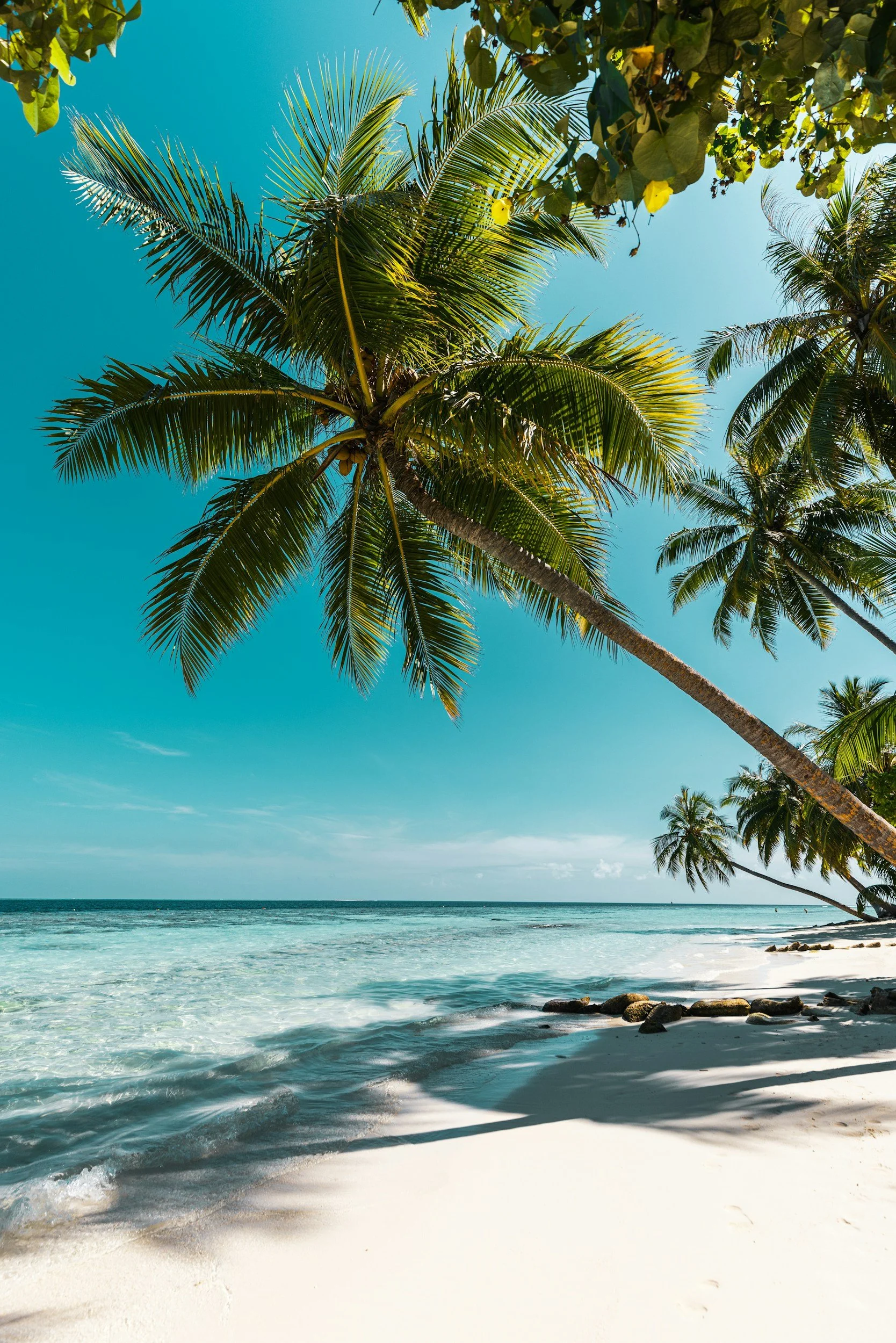 Tropical beach with white sand, gentle waves, and palm trees against a bright blue sky.