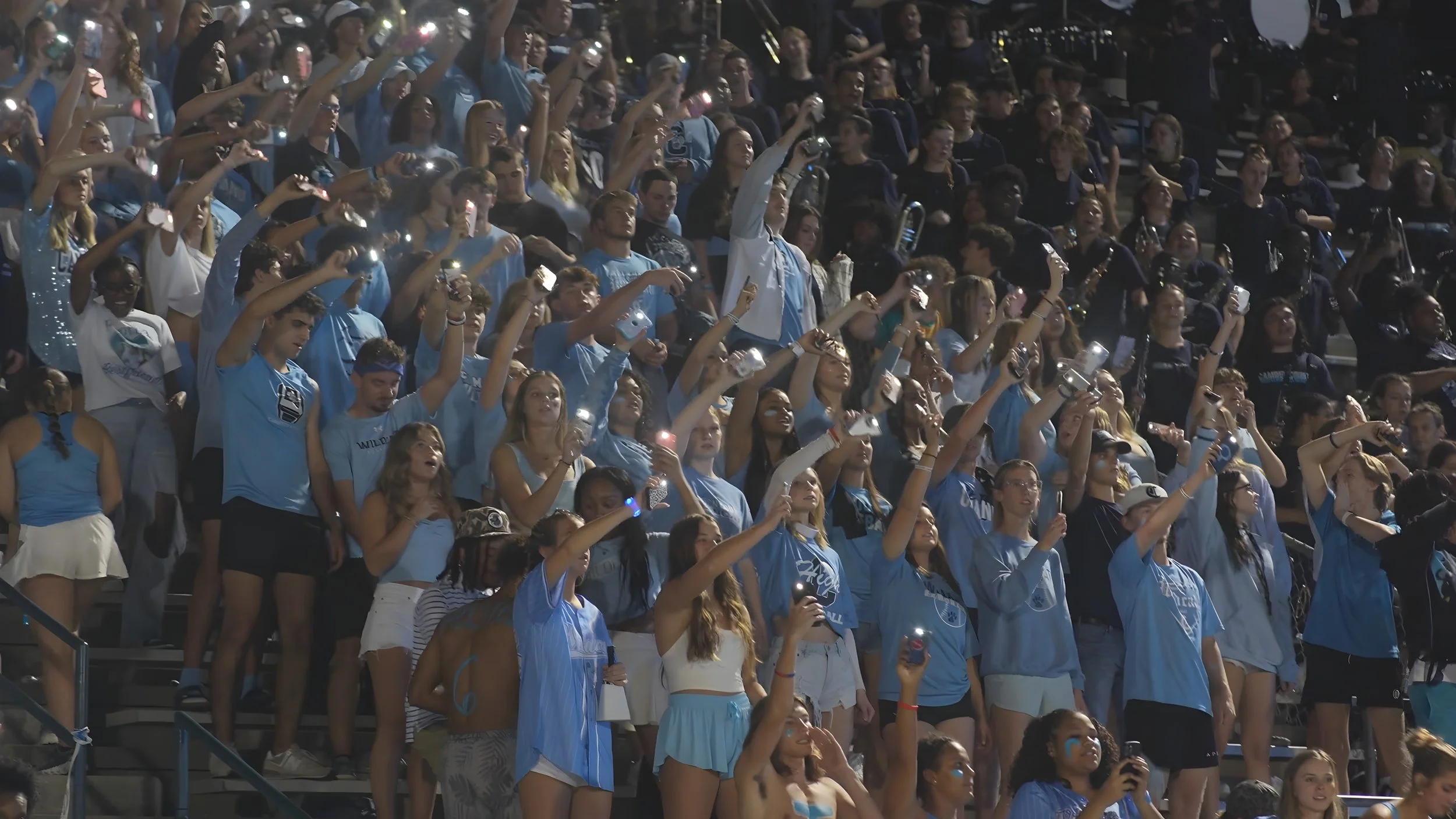 fanswildcats.jpg