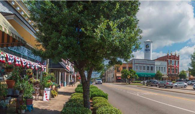 Street view of Troy, Alabama court square with shops, potted plants, and a large tree on the sidewalk. Cars are parked along the street, and buildings are visible in the background, including a water tower.