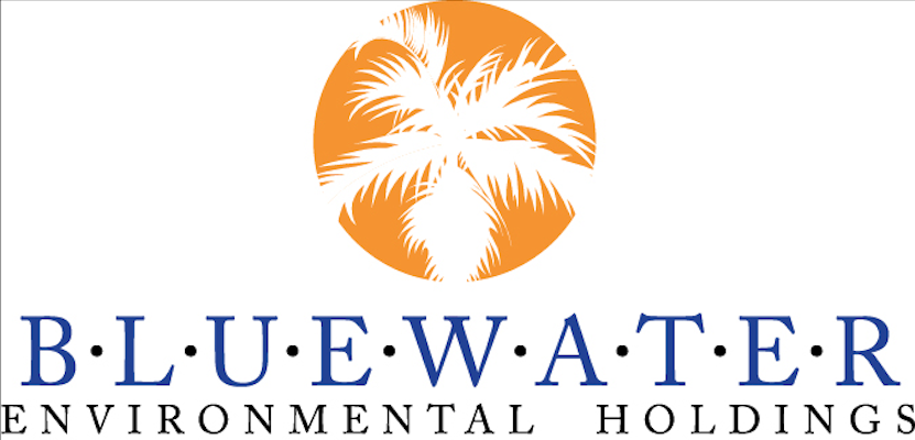 Logo of BlueWater Environmental Holdings featuring an orange circle with a white palm tree silhouette.