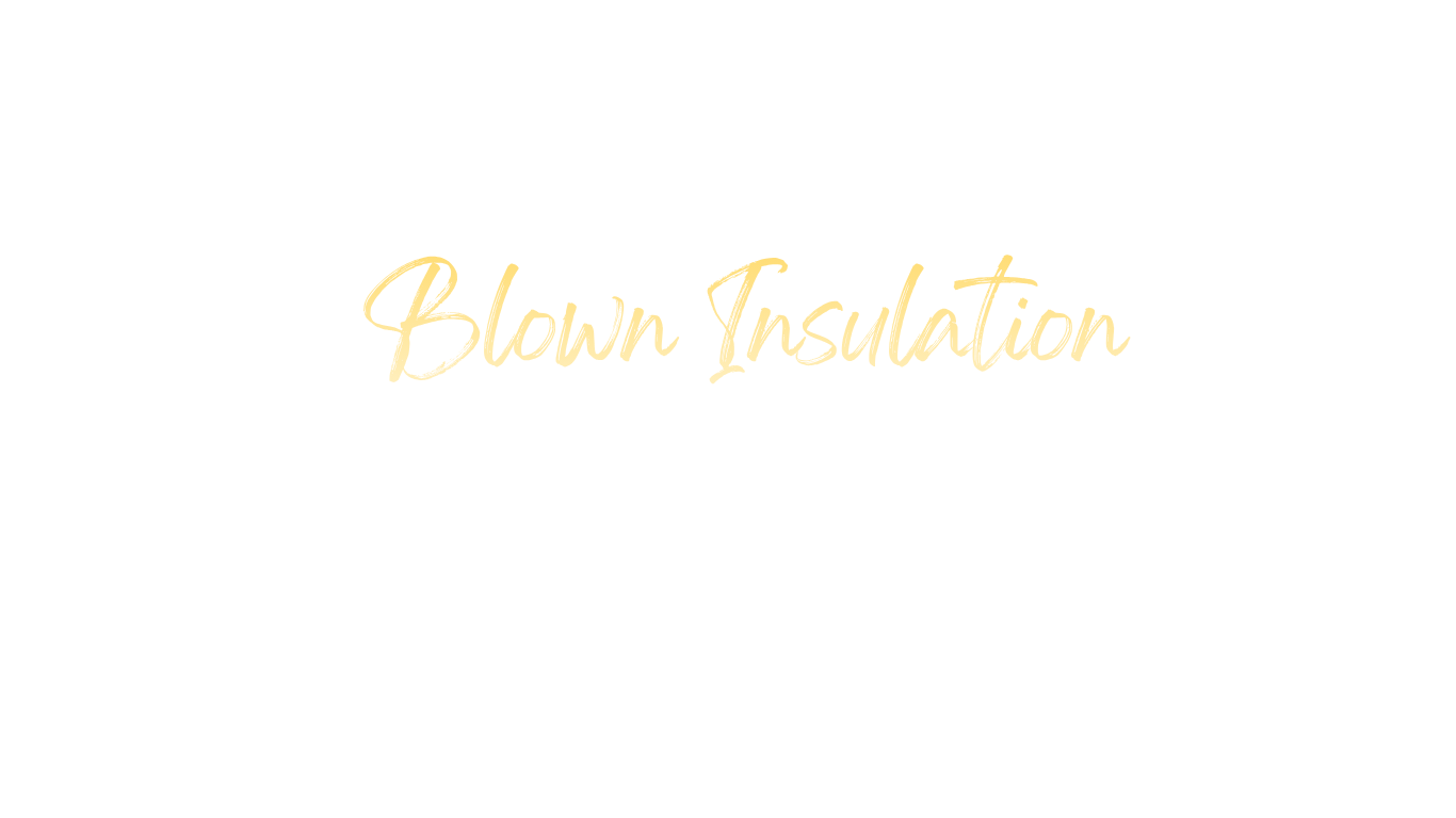 The words 'The Wonderful World of Disney' in yellow and black text on a white background.