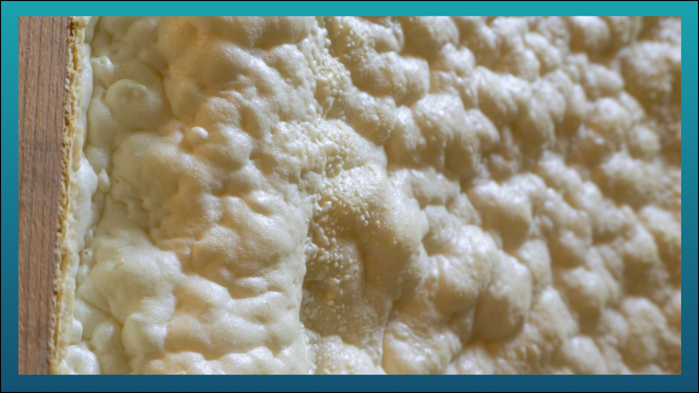 Close-up of cheese curds on a wooden surface