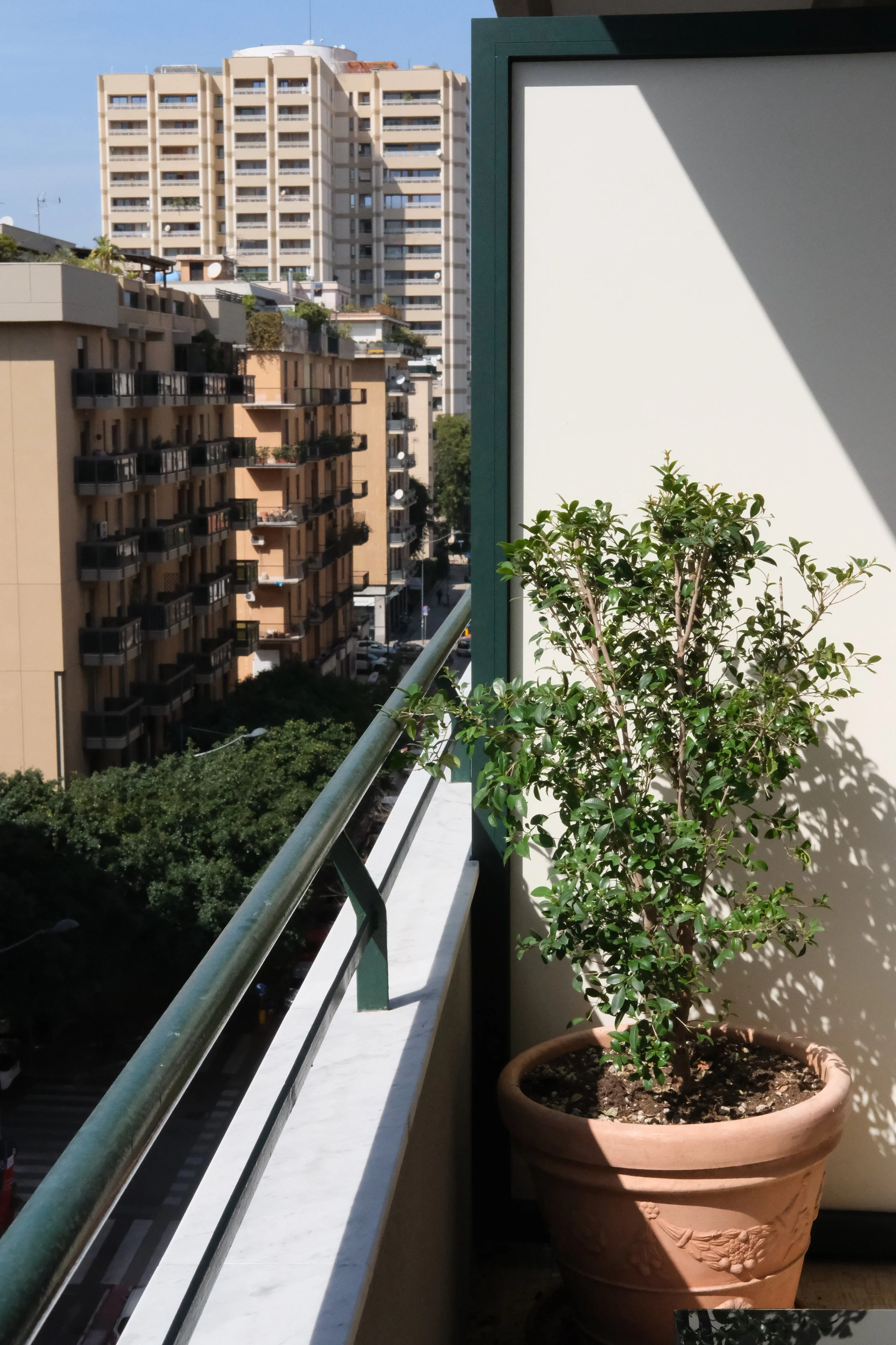 Balcone di un appartamento con una pianta in vaso e un'ombra sulla parete, vista su edifici residenziali in città.