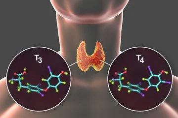 Thyroid Disorder Treatment
