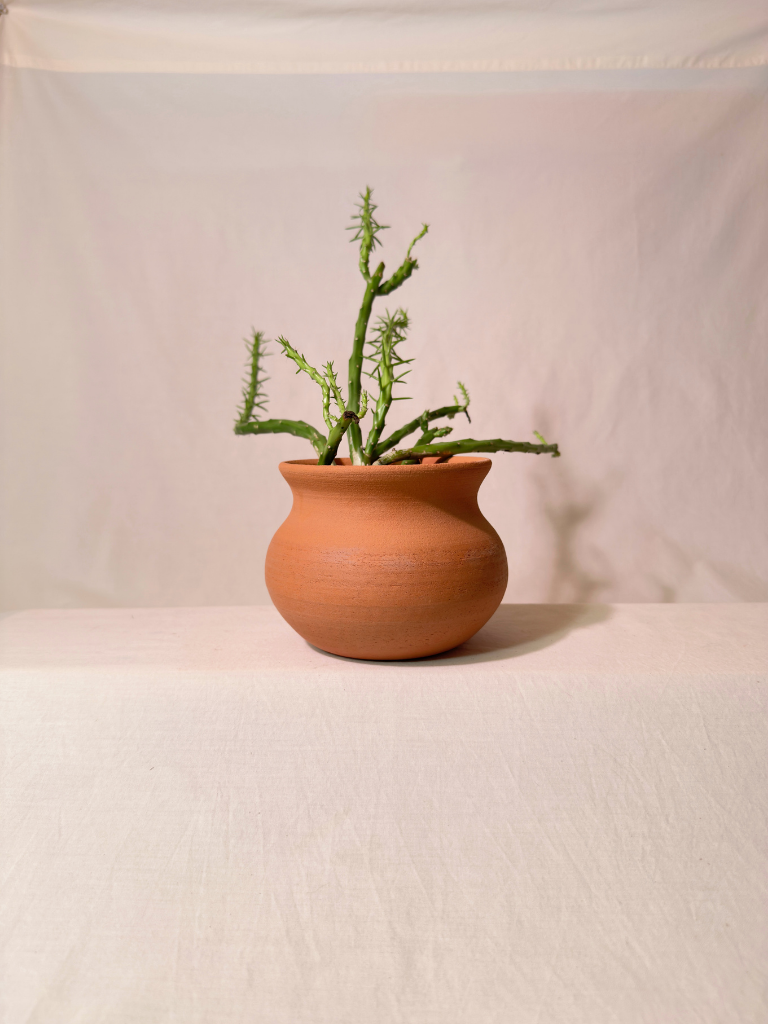 Rooted Planter