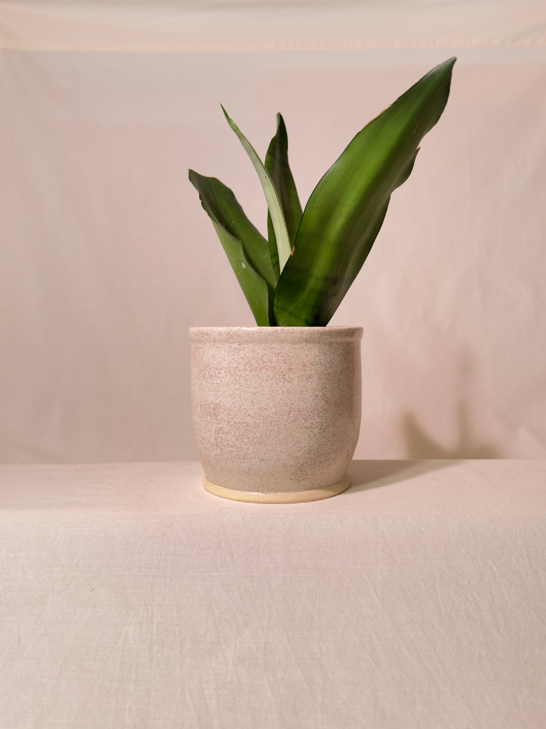 Speckle Planter