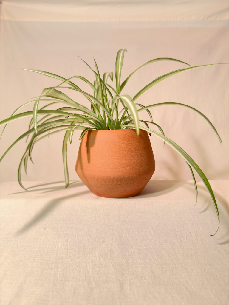 Angled Planter