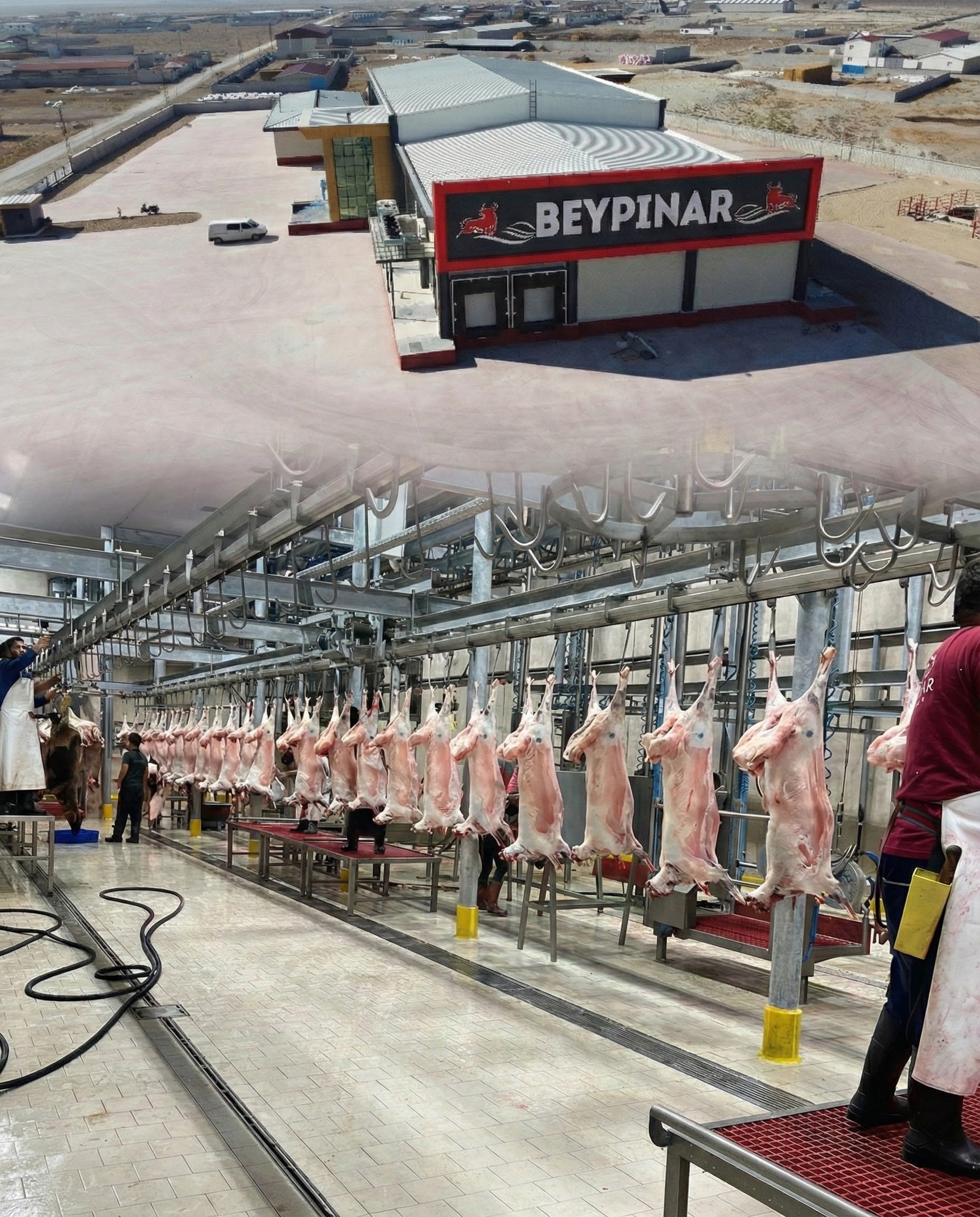 Beypınar | Türkiye Konya Anahtar Teslim Mezbaha Projesi