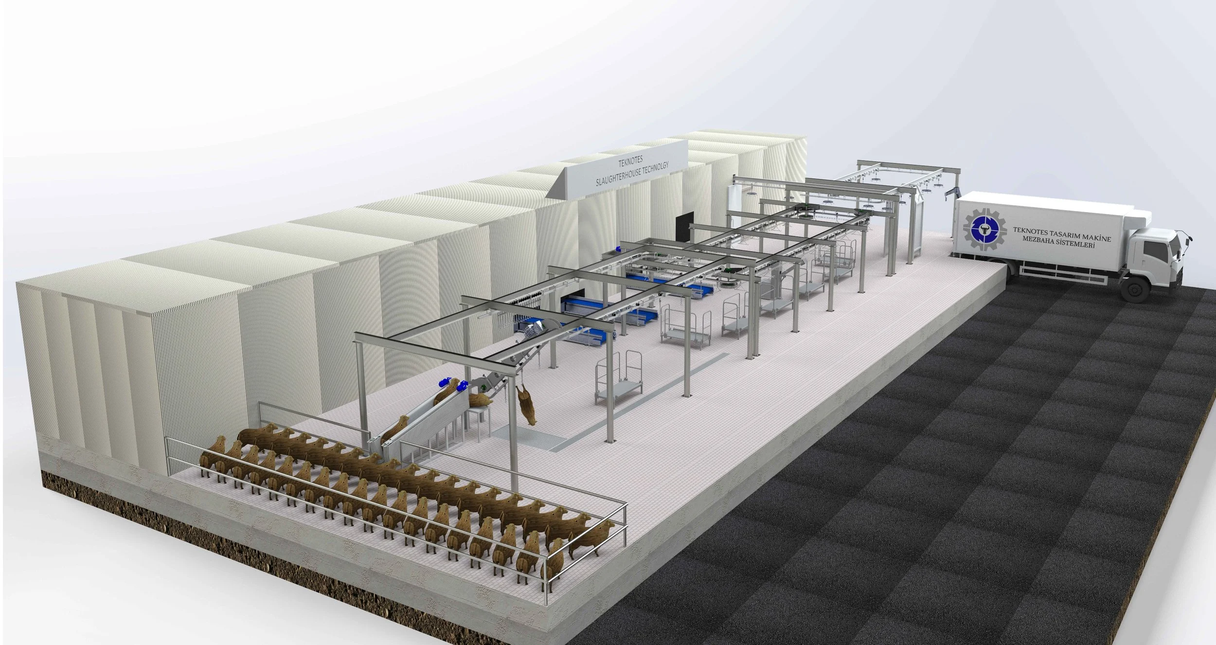 sheep cutting line