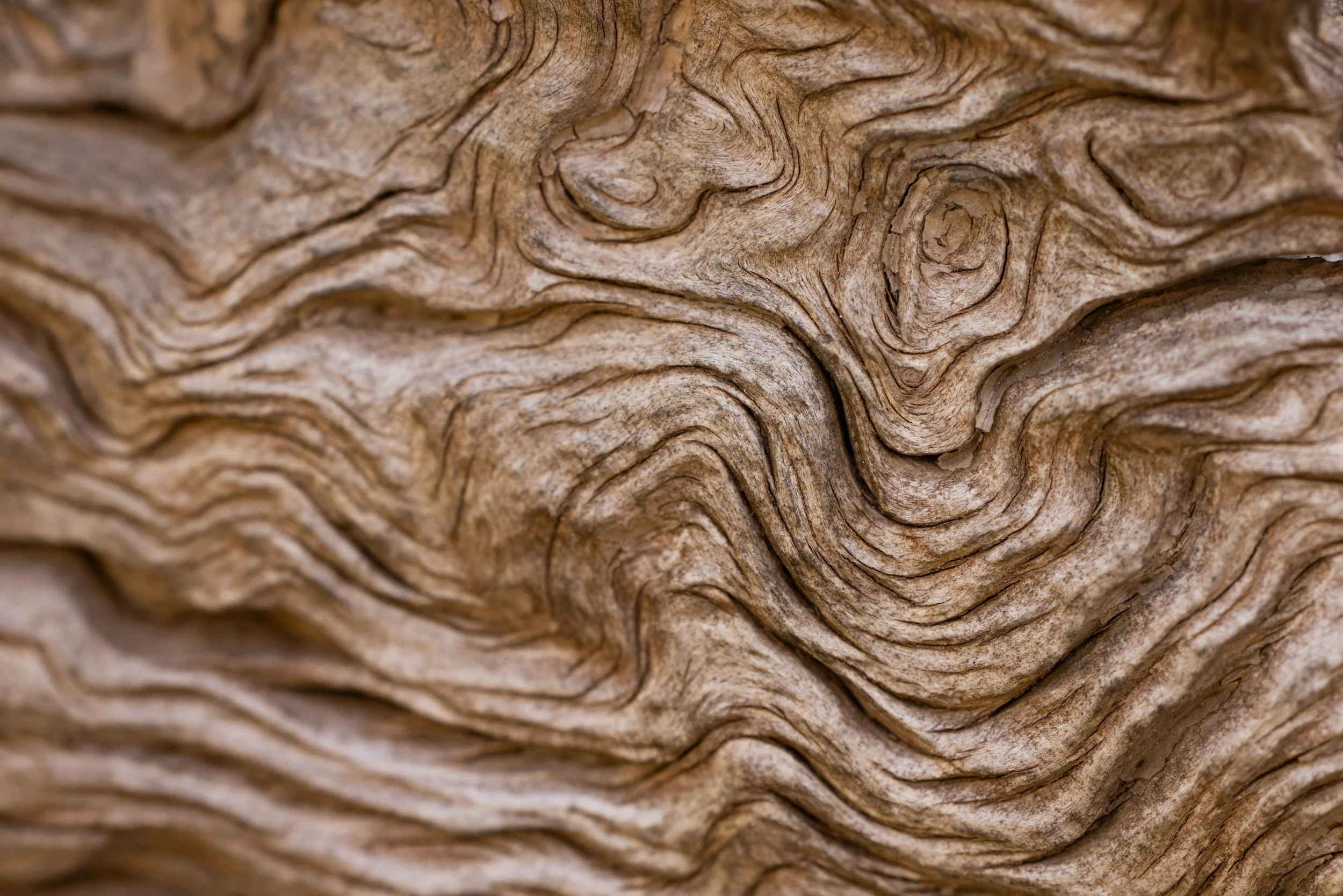 Close-up of weathered, textured wood revealing intricate grain patterns and natural swirls.