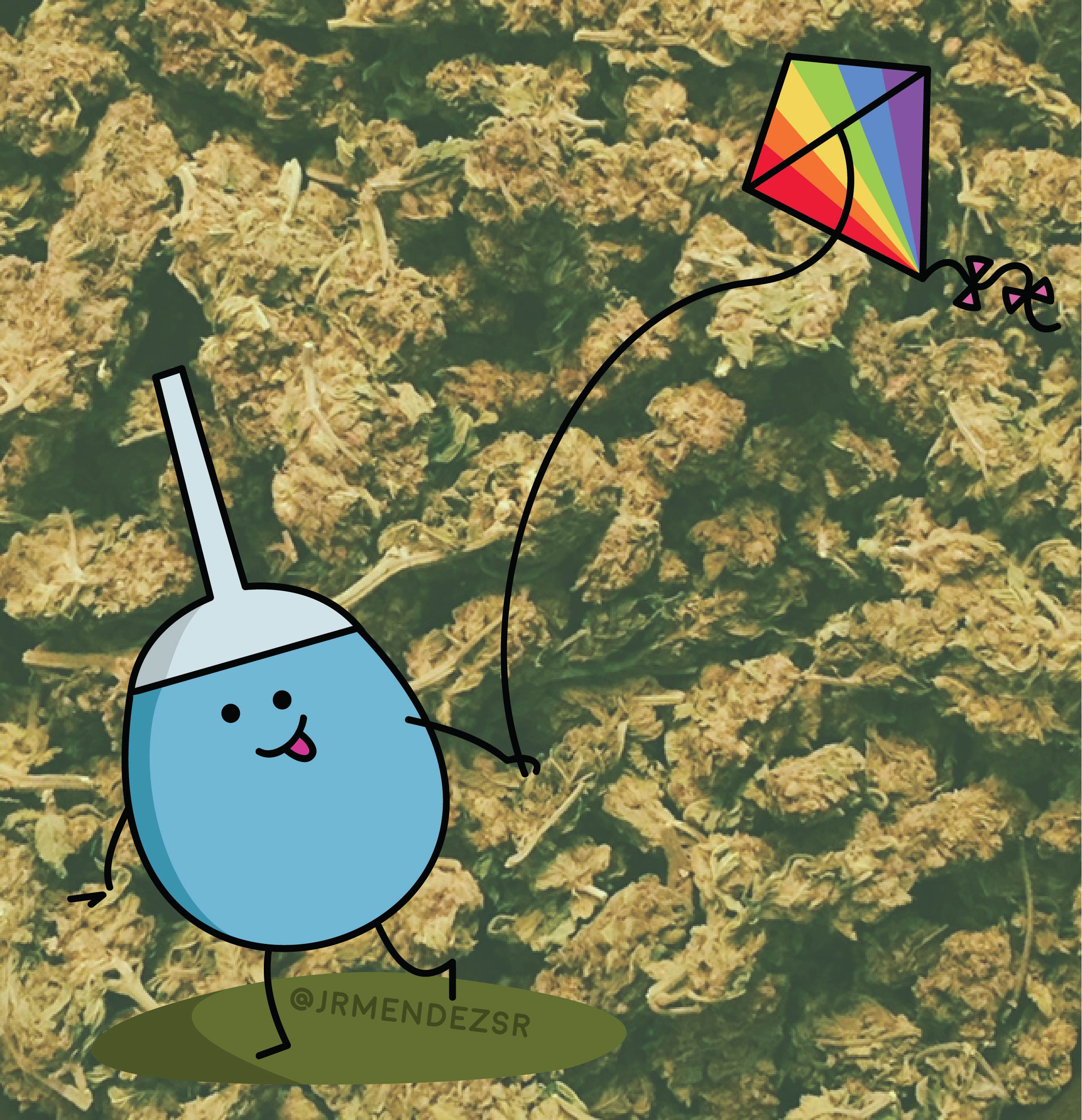 debby flyin' (Copy)