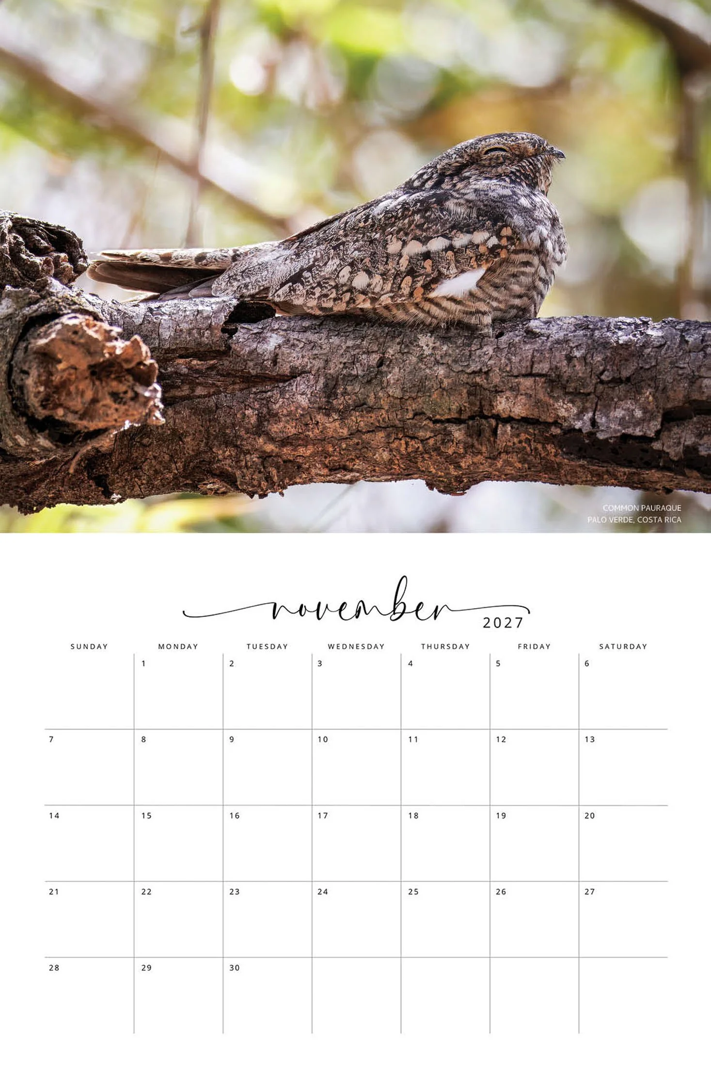 BIRD CALENDAR SW- Web -165.jpg